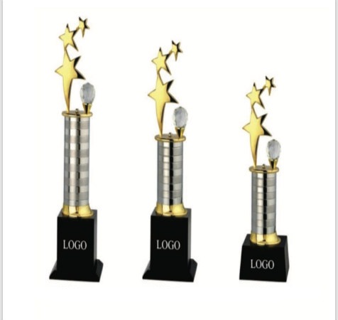 Silver Gold Star & Diamond Metal Trophy