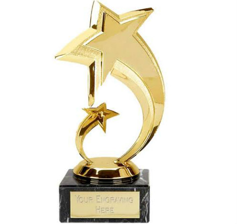 Star Metal Trophy