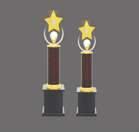 Metal Star & Diamond Trophy