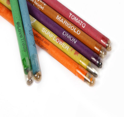 Plantable Seed Pencil